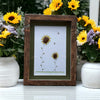 Two Sea Glass Sunflowers Picture